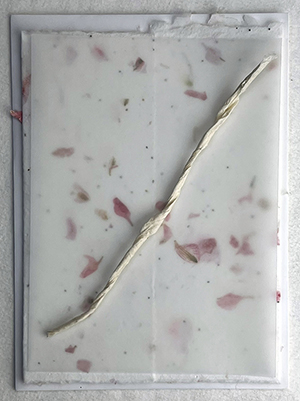 6x9 cotton invitation print at home