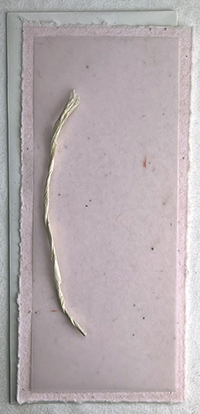 4x9 cotton invitation print at home