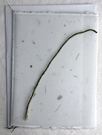 6x12 cotton invitation print at home