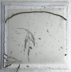 6x6 cotton invitation 