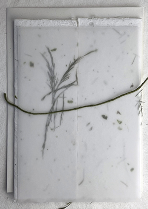 7x10 cotton invitation print at home