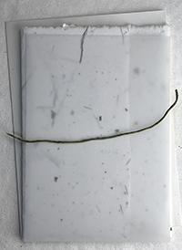 7x12 cotton invitation print at home