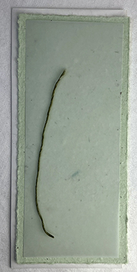 4x9 cotton invitation print at home