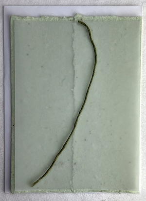 6x9 cotton invitation print at home