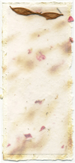 4x9 Cotton Invitation