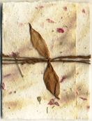 6x12 Cotton Invitation