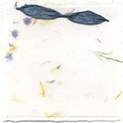 6x6 cotton invitation