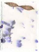 4.5x6 Cotton Invitation