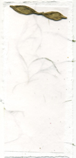4x9 Cotton Invitation