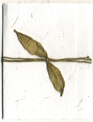 6x12 Cotton Invitation