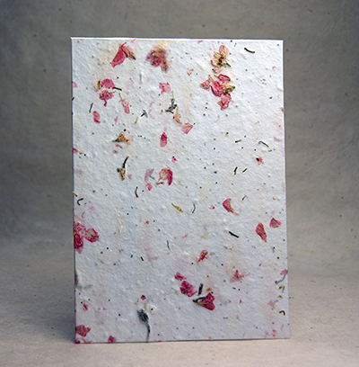 cut edge pink larkspur paper