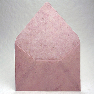 7 Baronial Rose
