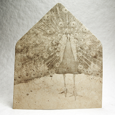 seed paper envelope liner peacock