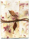 plant it seed paper