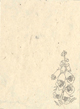 Foxglove Design