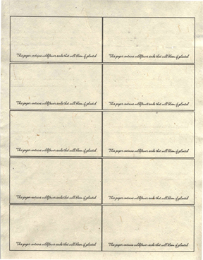 Lotka Seed Paper Place Cards