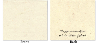 lotka place cards