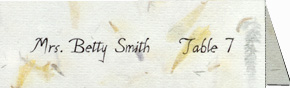 Recycled paper place cards - Seeded too!