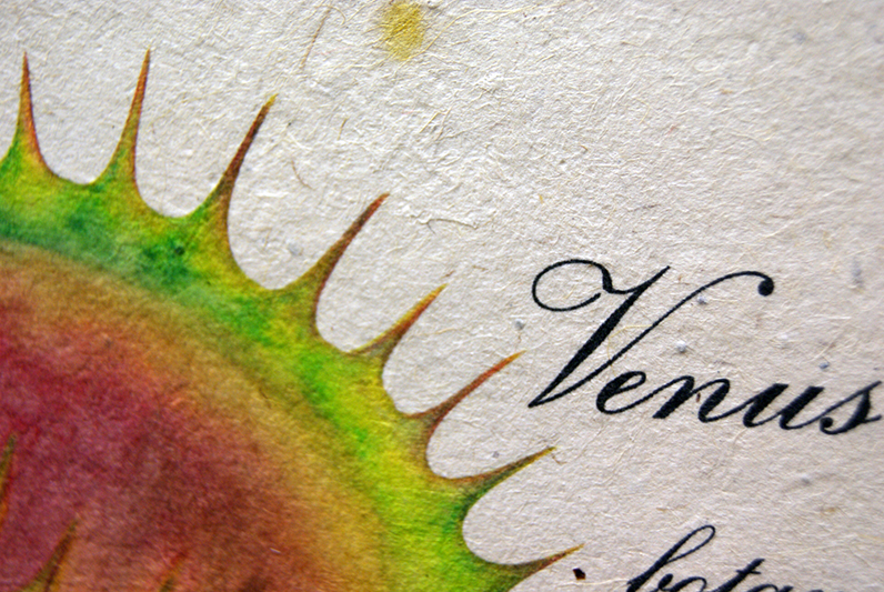 poster detail