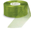 Midori Kiwi 