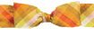 Gala Dupioni Silk Ribbon