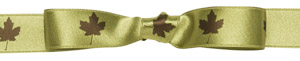 Midori Satin Icon Ribbon