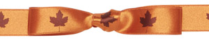 Midori Satin Icon Ribbon