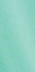 Navajo Turquoise