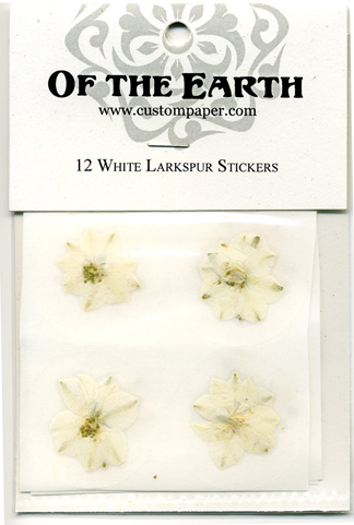 White Larkspur
