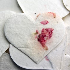 pink larkspur seeded paper heart