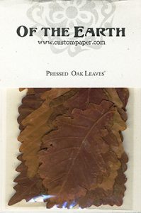 Oak Leaves