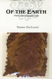 Oak Leaves