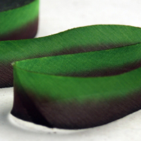 Earth Silk Dyed Ribbon green and brown 010