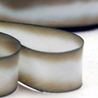 Earth Silk Dyed Ribbon cream brown black 014