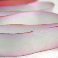 Earth Silk Dyed Ribbon 046 pink