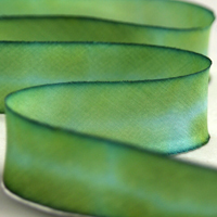Earth Silk Dyed Ribbon 048 blue green