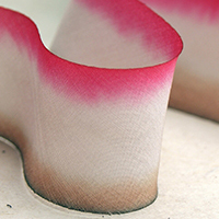 Earth Silk Dyed Ribbon - 507 neapolitan