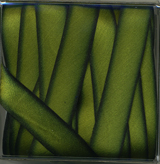 bias cut silk ribbon