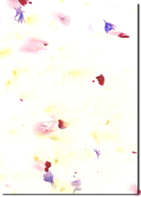 Bachelor Button, Crumbled Red Carnation, Crumbled Yellow Carnation