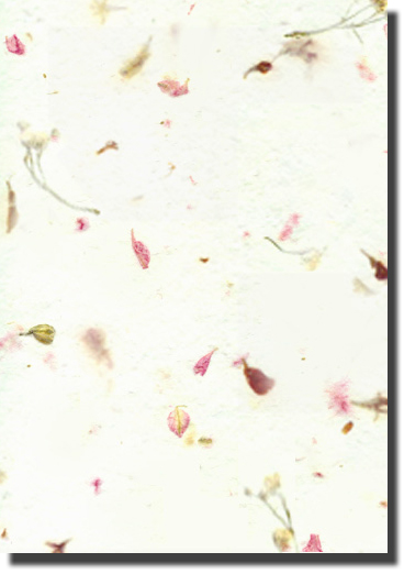 Cypress custom handmade paper