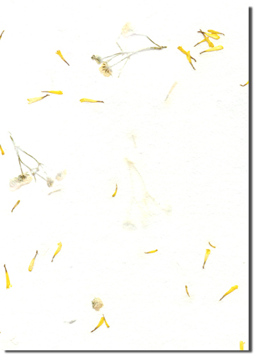 Horsesugar custom handmade paper
