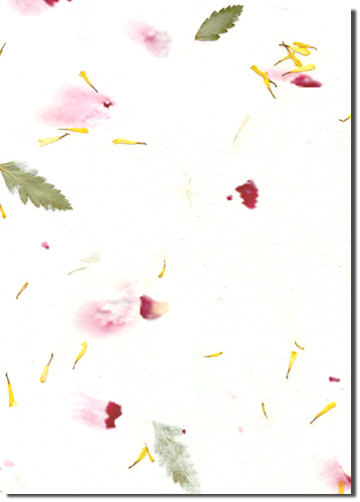Larch custom handmade paper