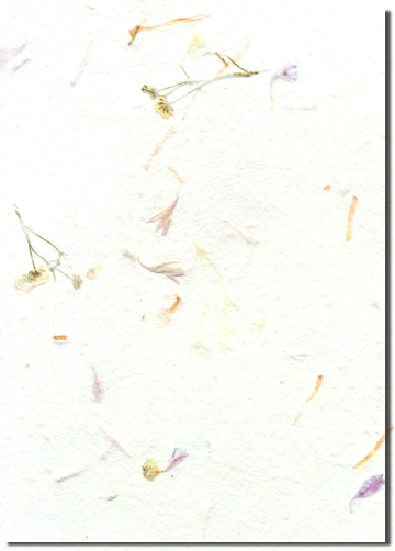 Rhamnella custom handmade paper