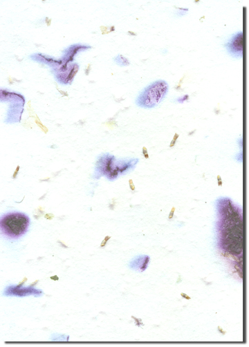 Silverbell custom handmade paper