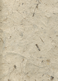 banana leaf fiber