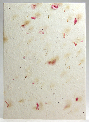 pink larkspur and lotka handmade paper