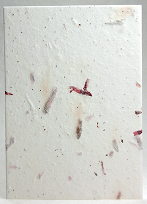 Beet handmade paper