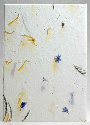 Tree fern, marigold, and bachelor button petal handmade paper