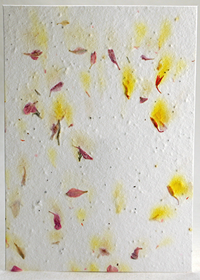 Pink Larkspur and Safflower Petal handmade paper