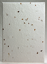 tree seed paper